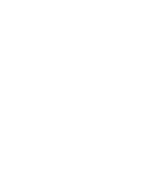 cupcake icon